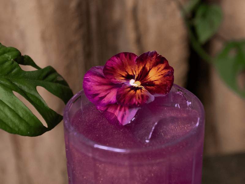 in mijn 'Nature Pride'-cocktail