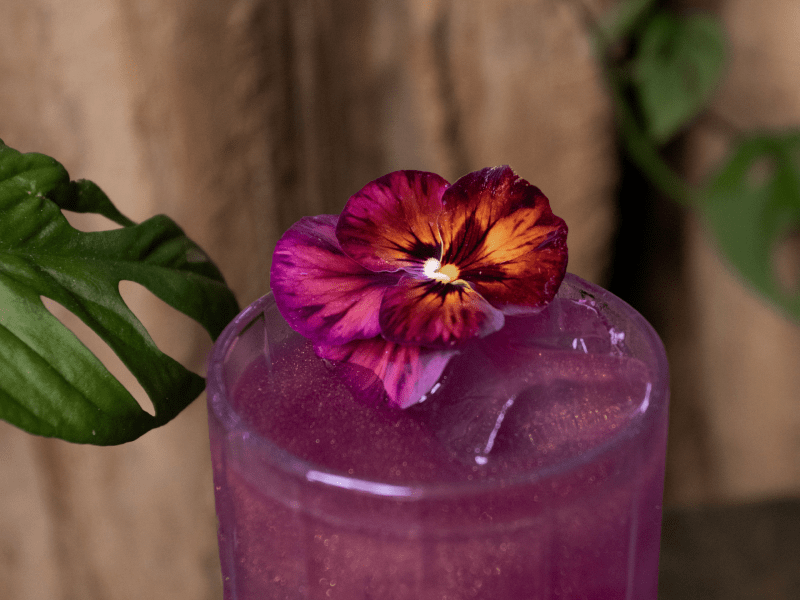 in my nature pride cocktail