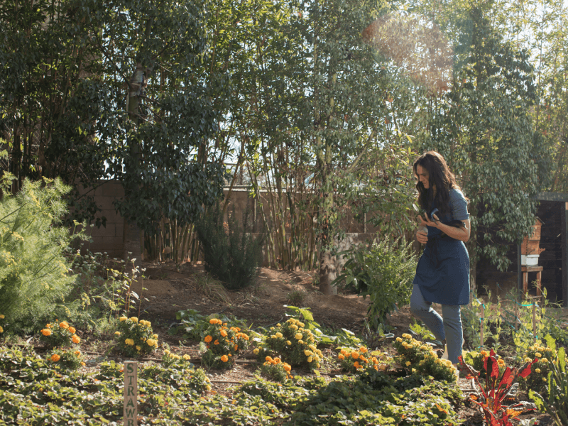 Person walking through a garden