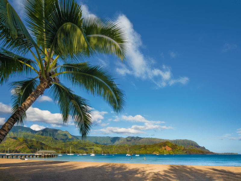 A single palm tree enters left complimenting the beach, sea, and mountain scapes beyond