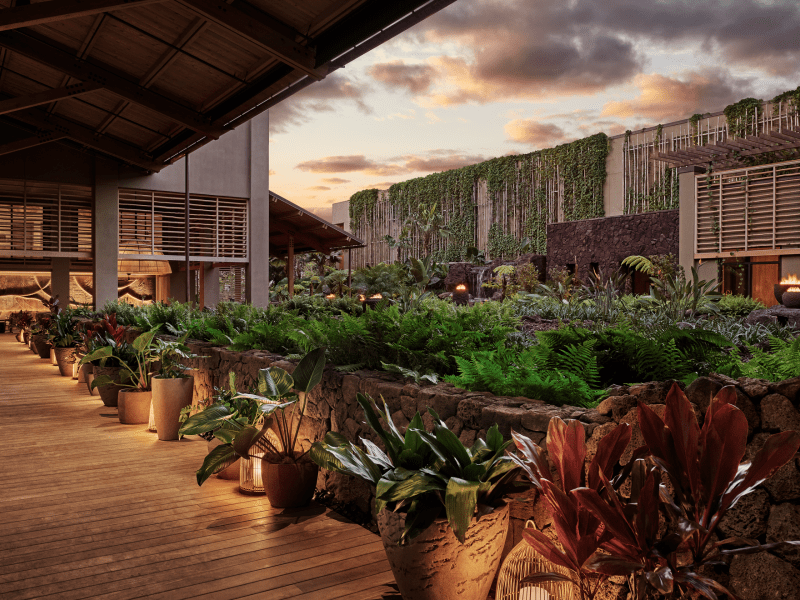 Garden in an exterior hotel lobby