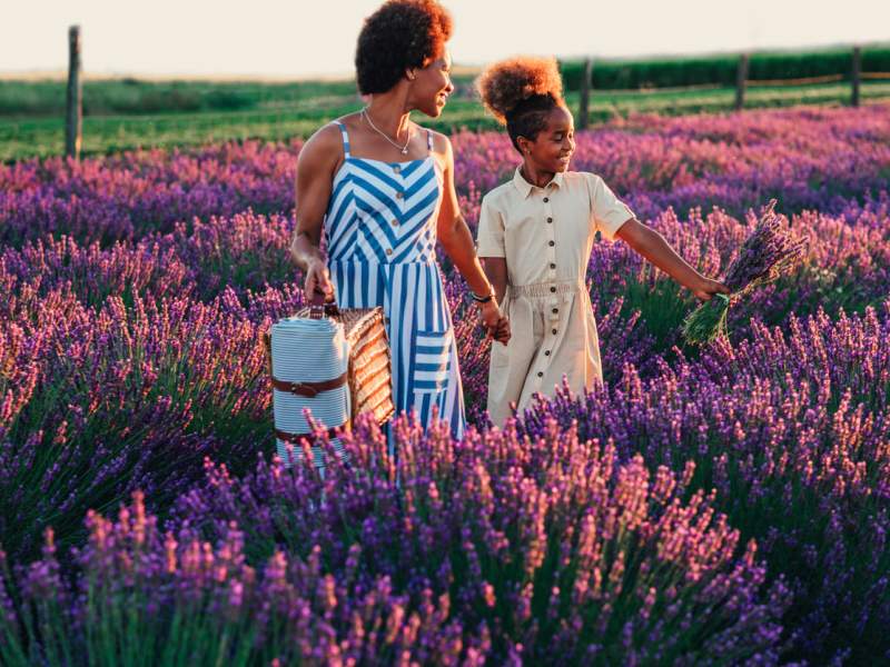 Two people standing in a field of lavendar
