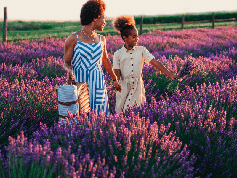 Two people standing in a field of lavendar