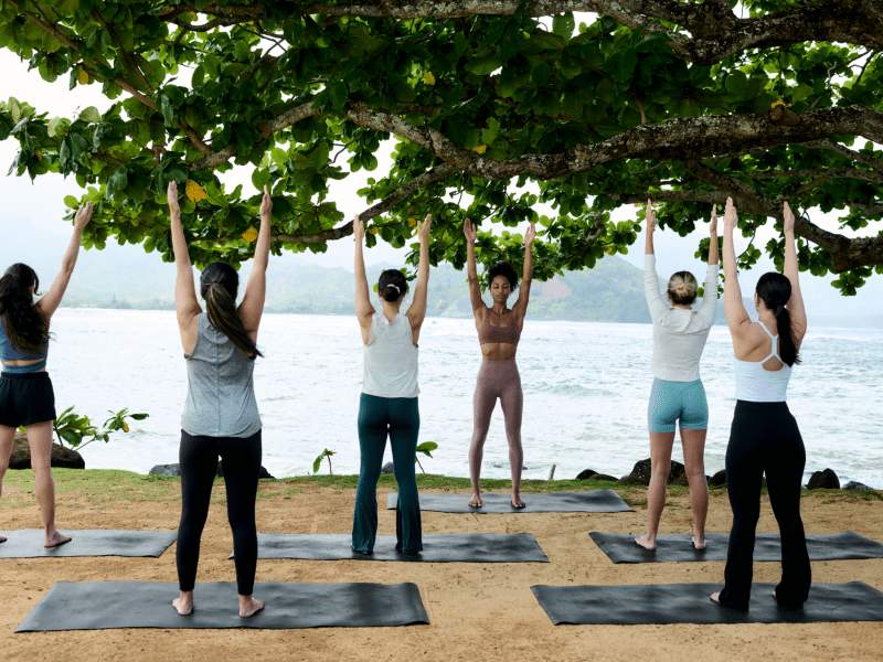 group wellness
