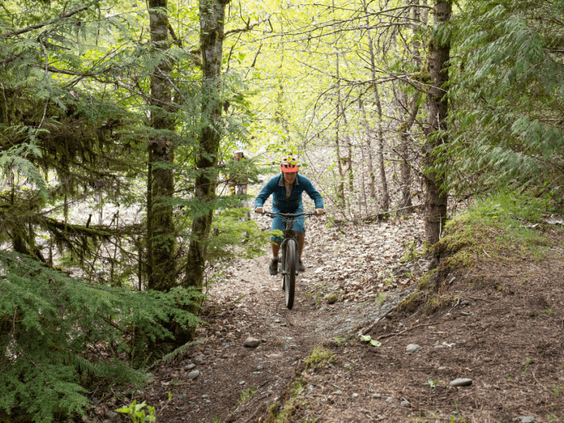 Person riding a bike along a forest trail