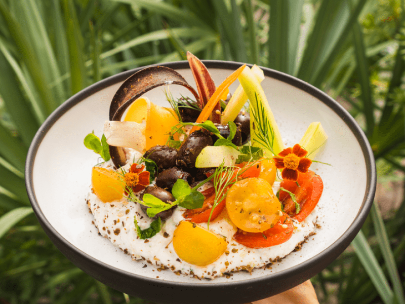 Hand holding plate with decorated vegetables meal