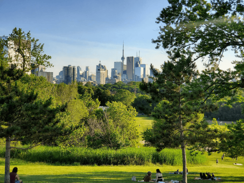 A grassy park in Toronto