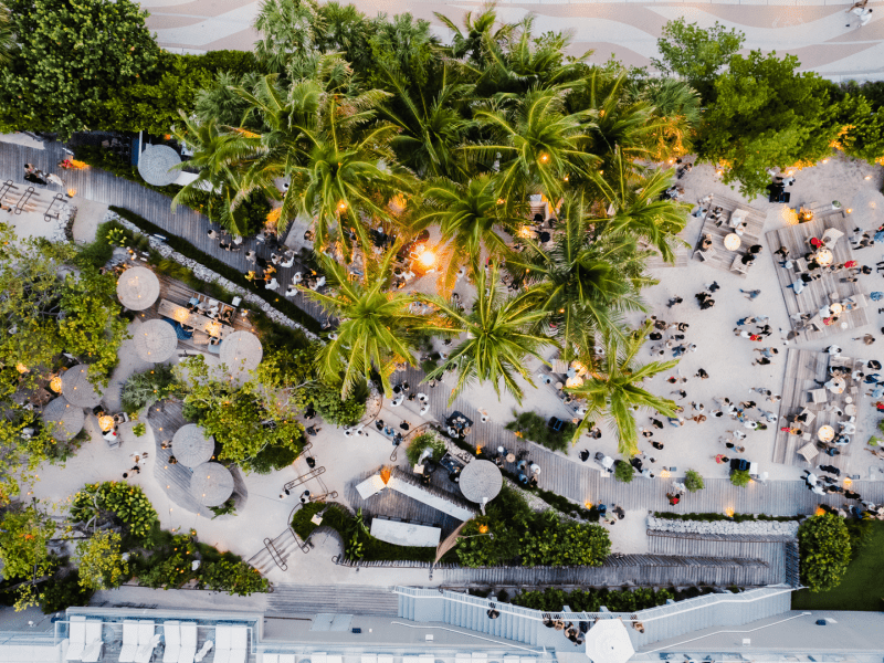 Bird's eye view of a palm tree covered beach
