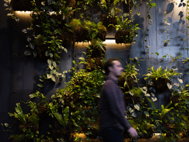 A green eco wall acts as a backdrop for a passerby who is out of focus