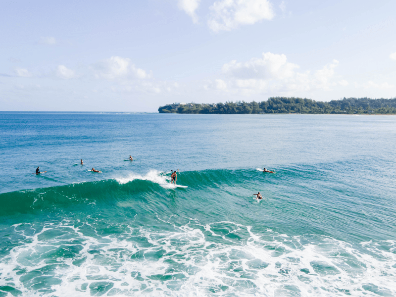 wave