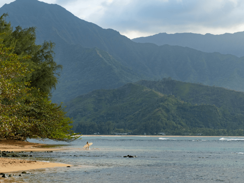 Person with surfboard walking into the water at a beach