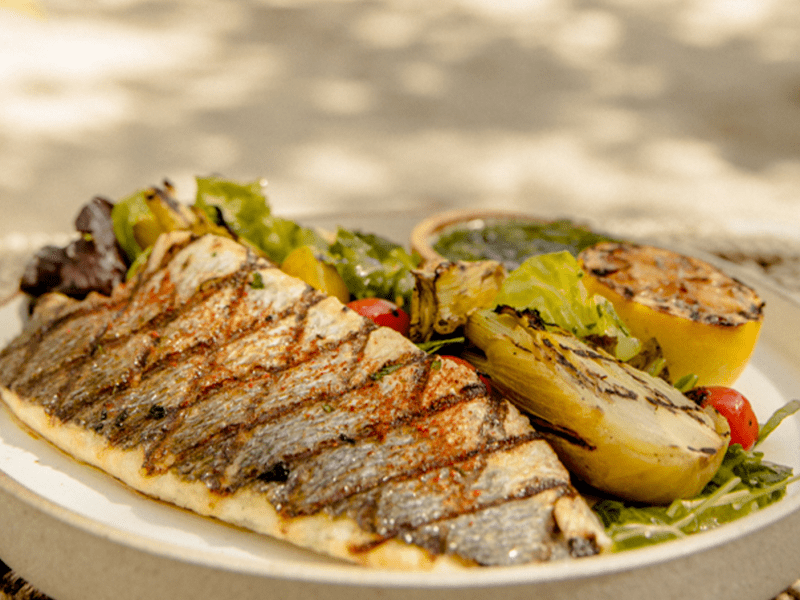 Plate of seared fish