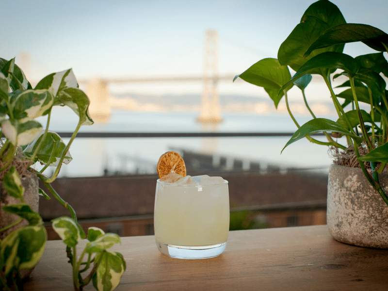 rooftop margarita