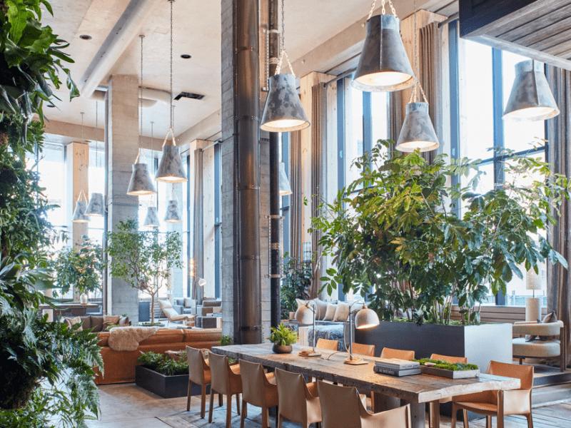 Hotel lobby with large wooden table and greenery 