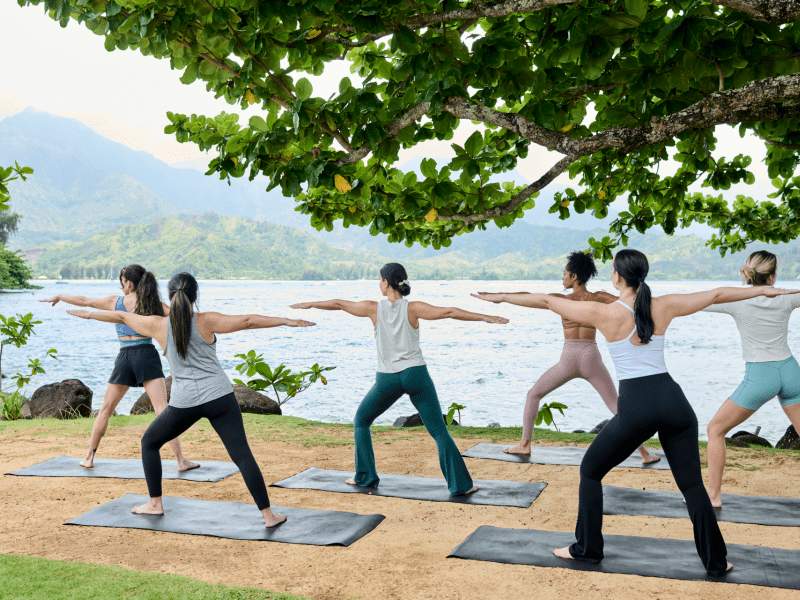 group wellness