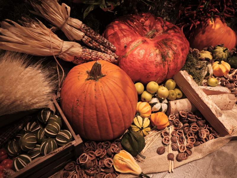 Pumpkin