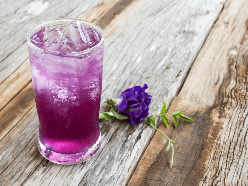 butterfly pea flower cocktail