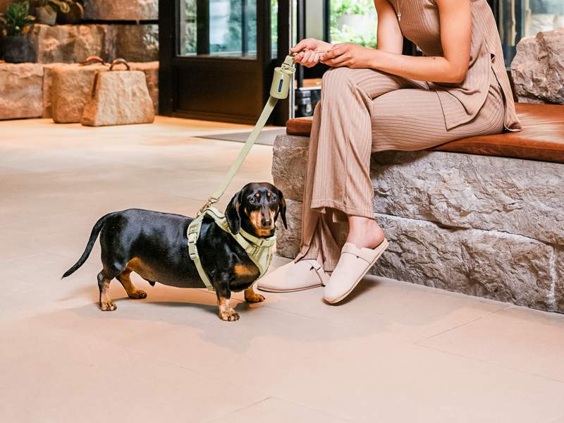 Woman sitting near her dog