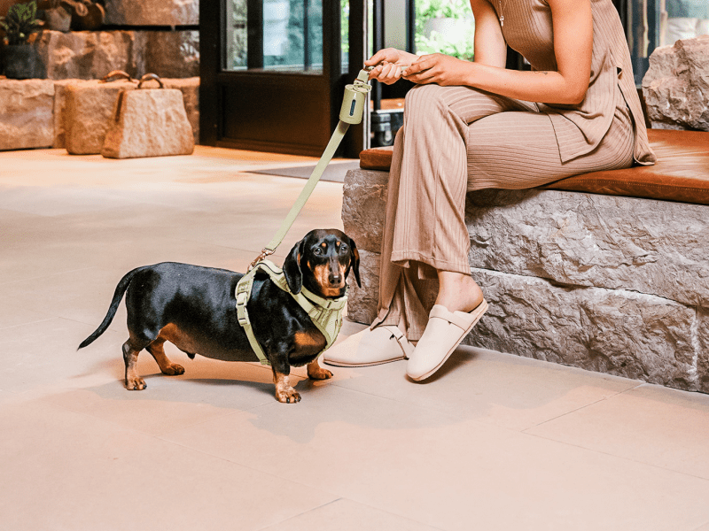 Woman sitting near her dog