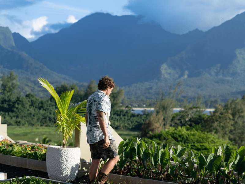 Rooftop Garden