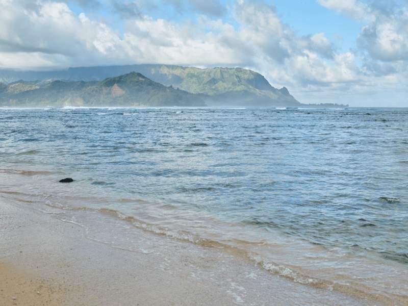 Havet