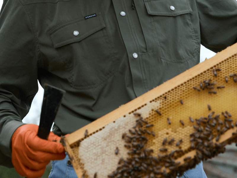 beekeeper behind 1 Hotel Austin's hives