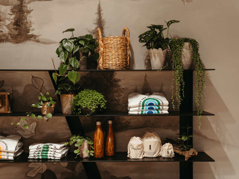 Shelves in a store with clothing, bottles and plants