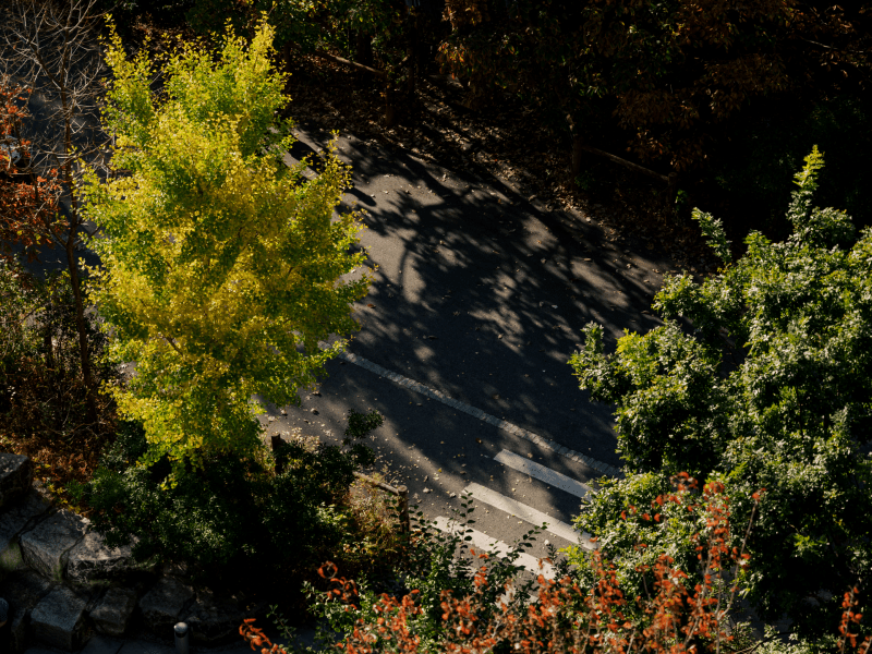 Park