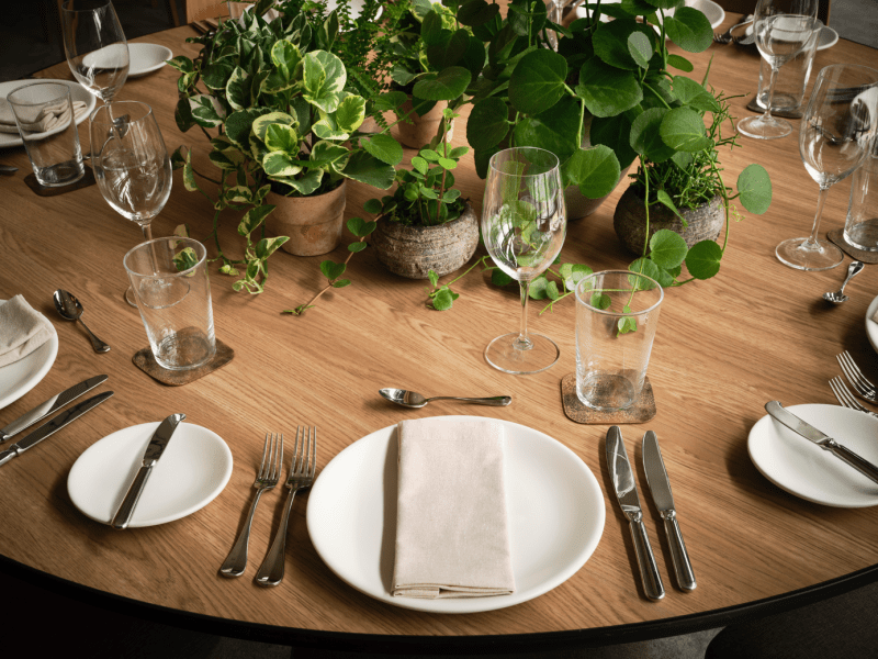 Set circle table with potted plants in the center