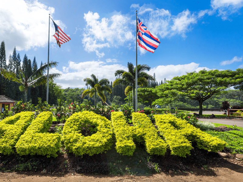 ALOHA shaped topiary