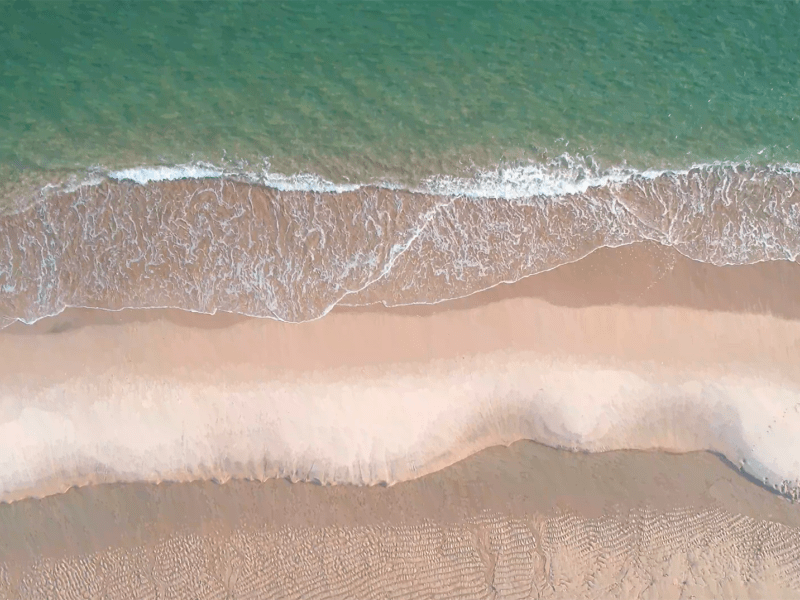 a wave