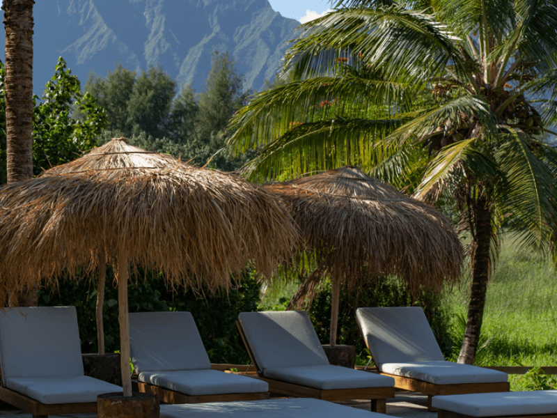 Lounge chairs under palm tree umbrellas