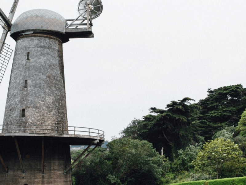 Windmill surrounded by trees