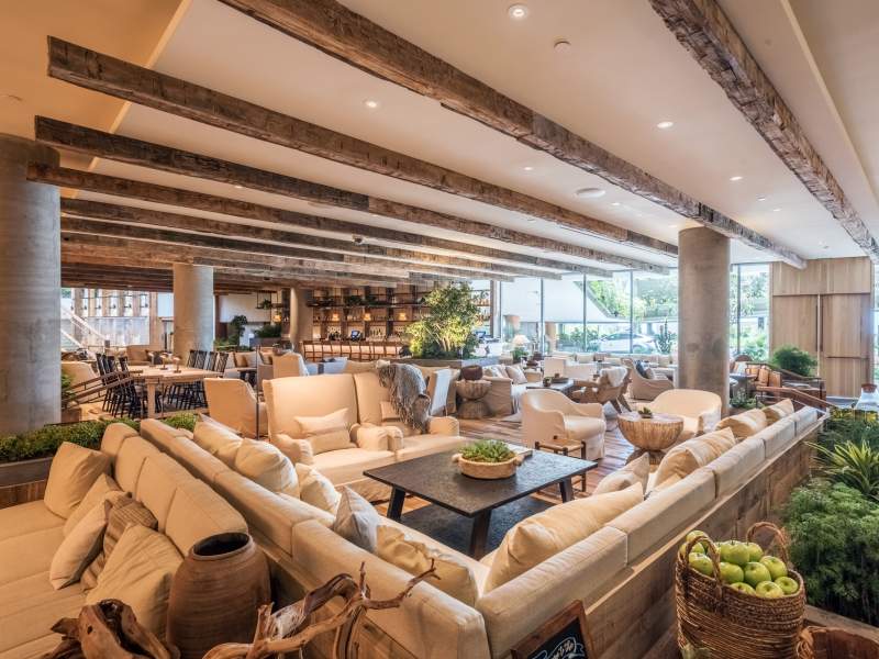 Lounge area with plants and a large sectional couch