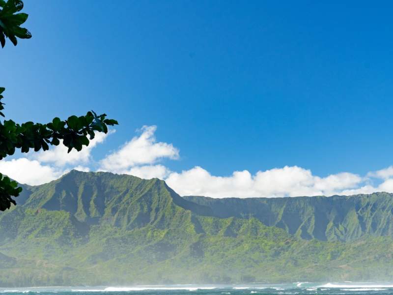Group of people kayaking on the water