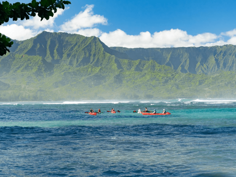 Group of people kayaking on the water