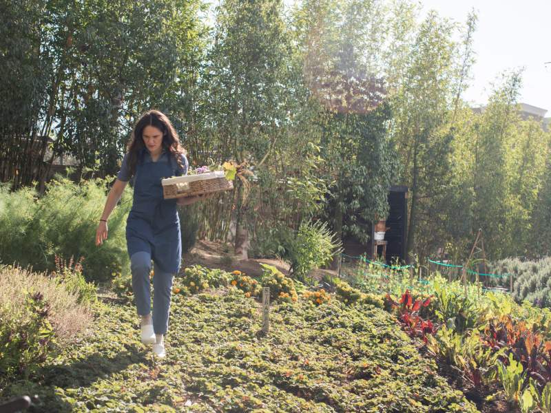Fermes de Bloomsbury