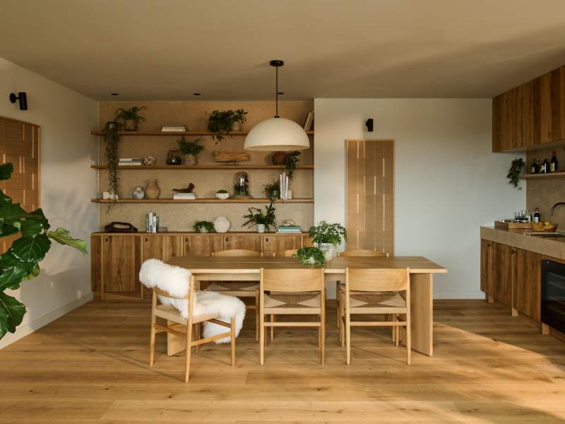 Willow Terrace House