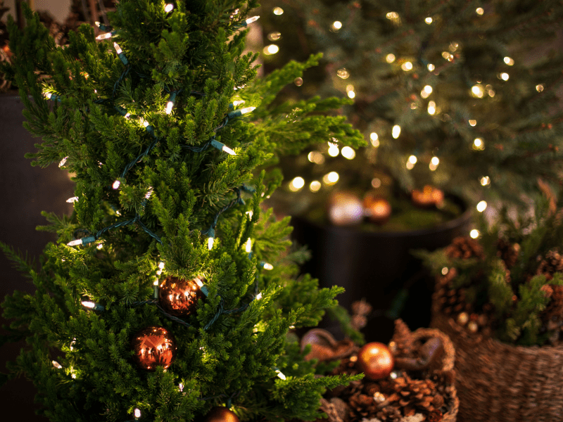 festive decor