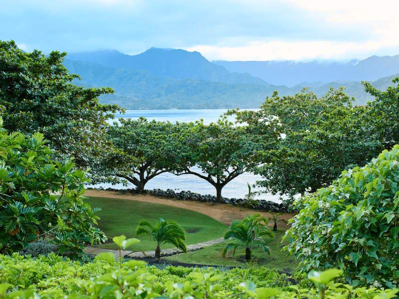 Kamani Cove