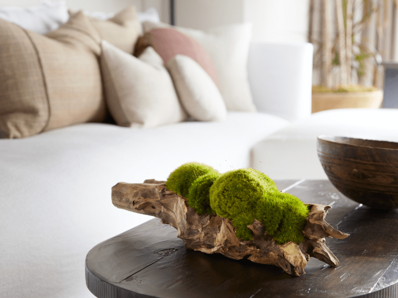Mossy branch on a table