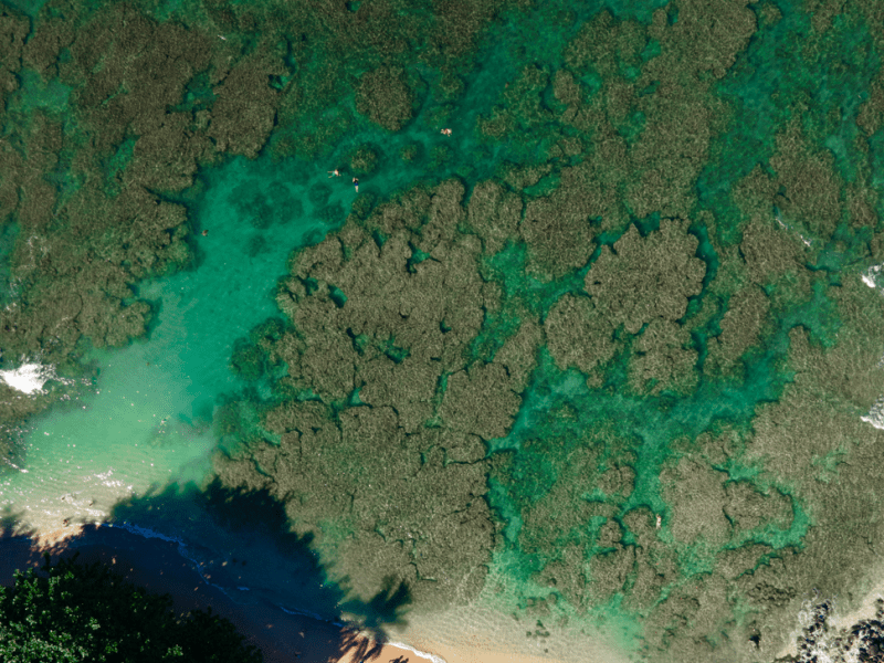 Aerial view of a beach