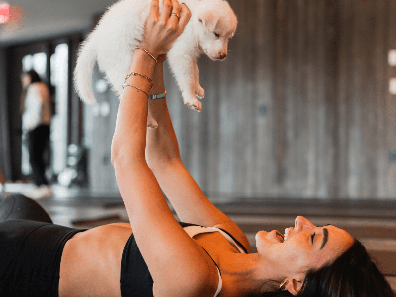 rescue puppy yoga