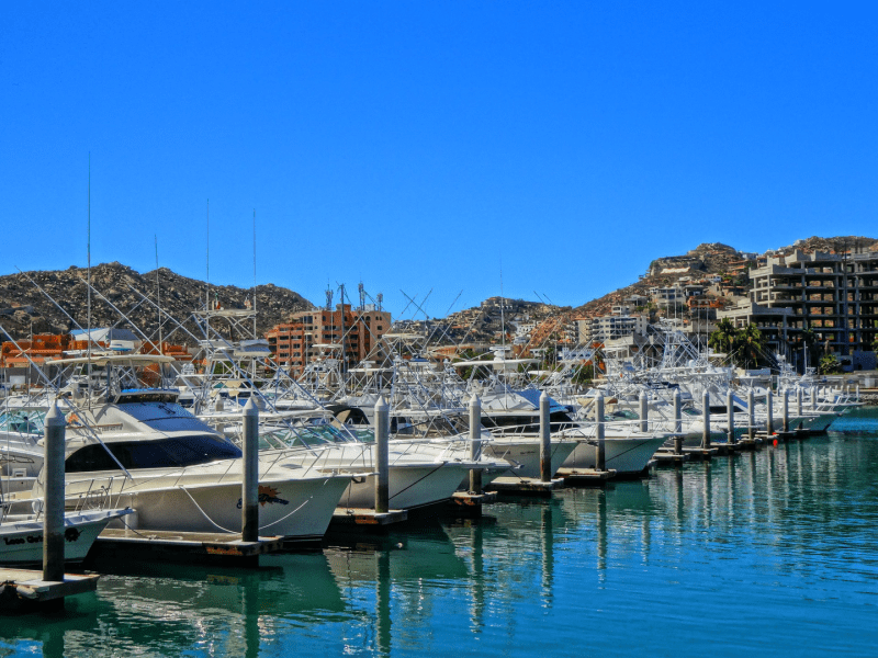 Marina filled with boats