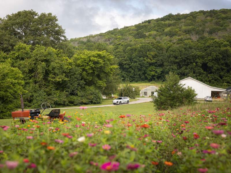 audi driving through a farm