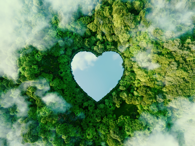 lake heart