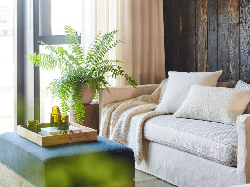 Couch in RRK