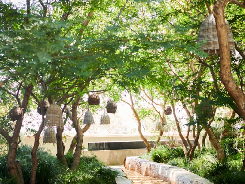 Outdoor walkway through trees