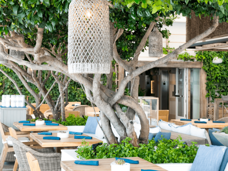 Outdoor dining area covered with trees