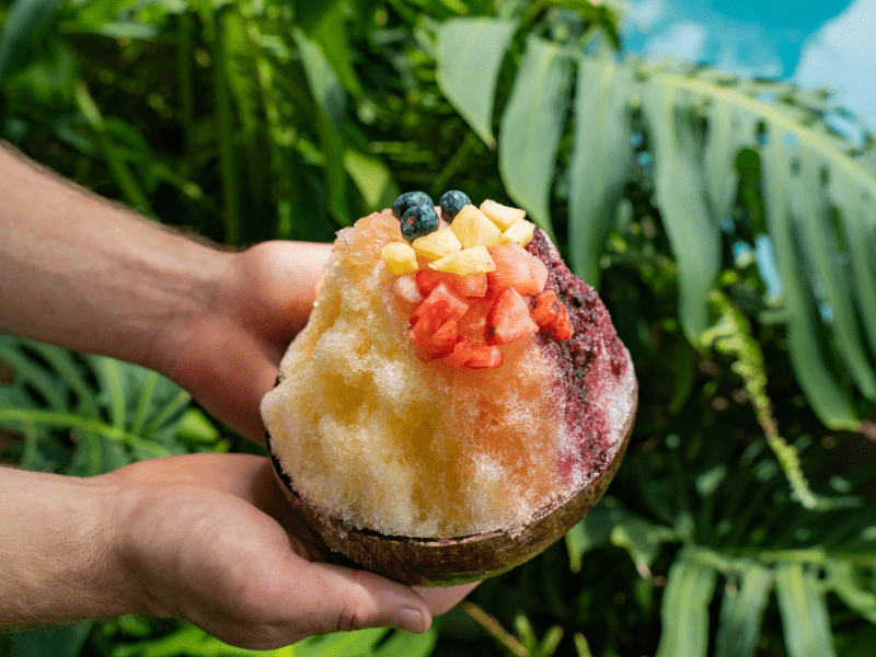 Person holding a bowl of shaved ice with fruit on top